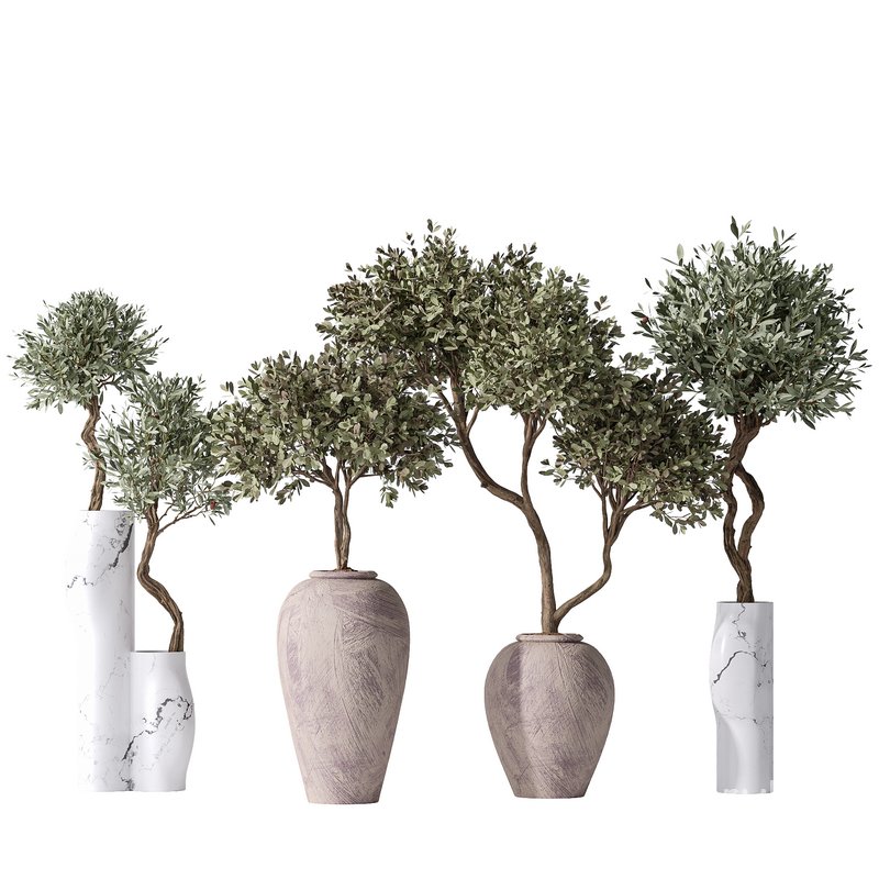 Mission Olive Tree Indoor Vase 02 Image 1