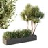 HQ Tree and bush garden box outdoor VOL 22 - Thumbnail 5
