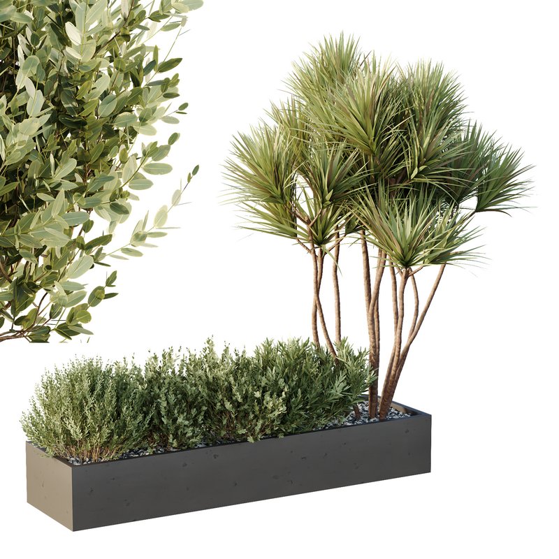 HQ Tree and bush garden box outdoor VOL 22 Image 5