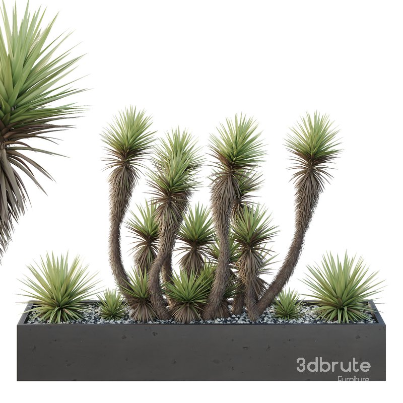 HQ Tree and bush garden box outdoor VOL 23 Image 1