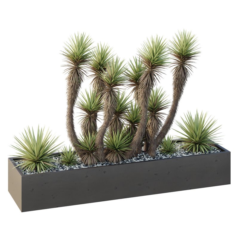 HQ Tree and bush garden box outdoor VOL 23 Image 2