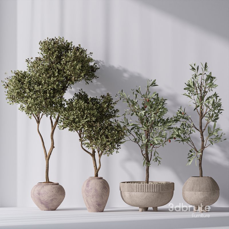 Mission Olive Tree Indoor Vase 06 Image 2