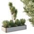 HQ Tree and bush garden box outdoor VOL 24 - Thumbnail 2