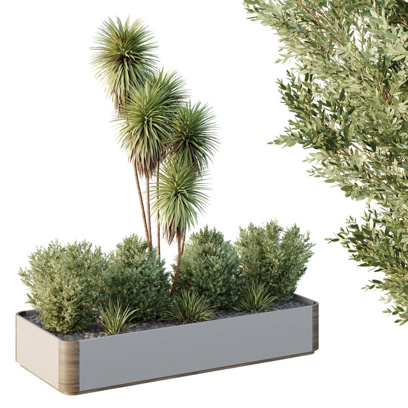 HQ Tree and bush garden box outdoor VOL 24 Image 2