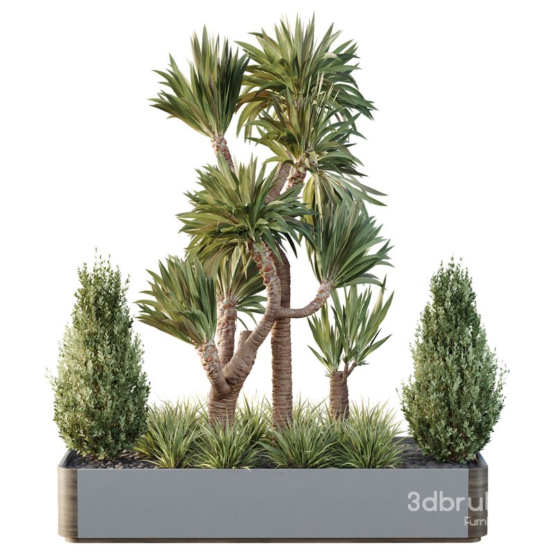 HQ Tree and bush garden box outdoor VOL 25 Image 1