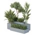 HQ Tree and bush garden box outdoor VOL 28 - Thumbnail 2