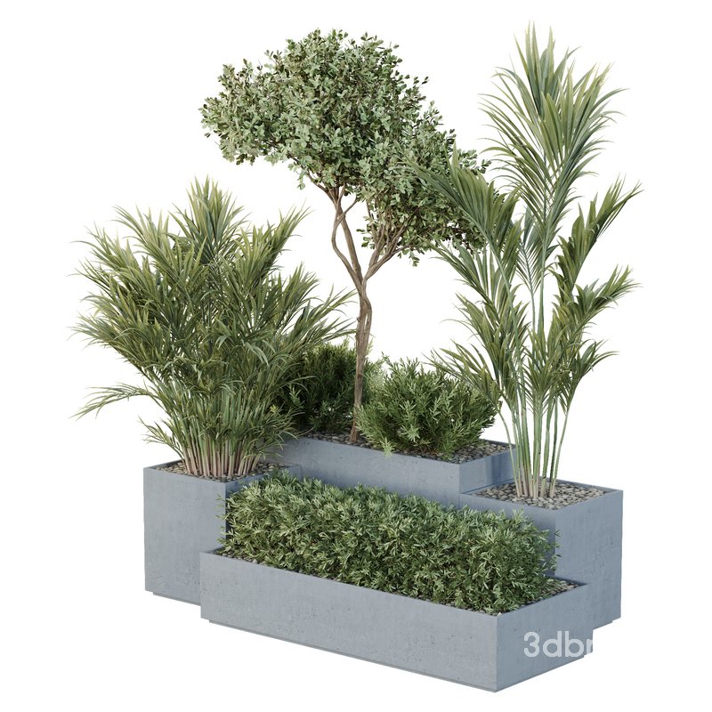 HQ Tree and bush garden box outdoor VOL 28 Image 2