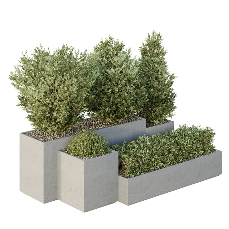 HQ Tree and bush garden box outdoor VOL 27 Image 2