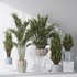 Areca Majesty and Yucca Elephantipes Vase 10 - Thumbnail 3