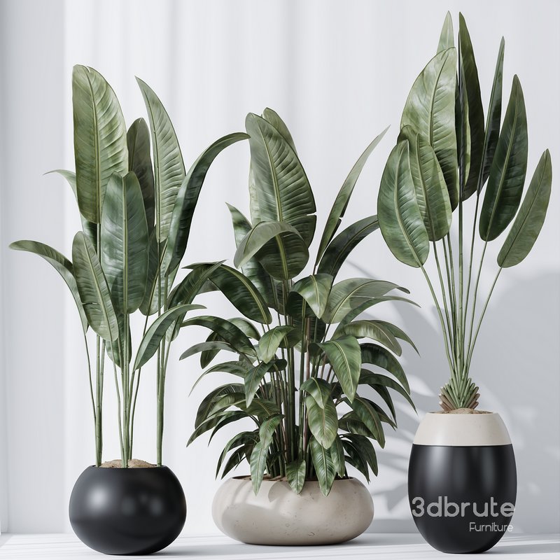 HQ Plants Bird Of ParadiseBird Vase Set06 Image 2
