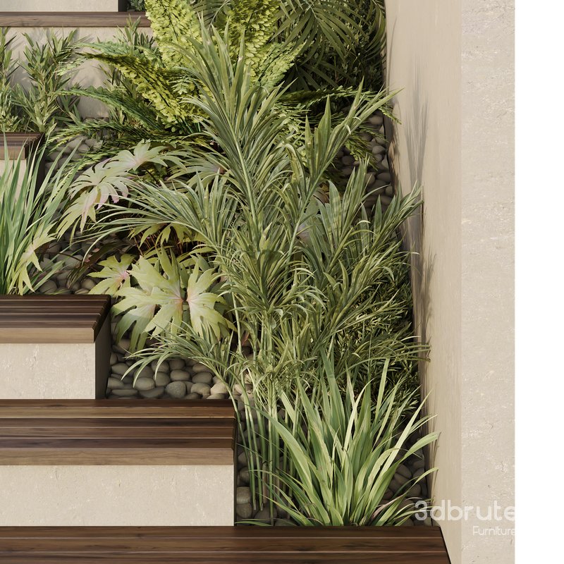 HQ Tree and bush garden box outdoor VOL 30 Image 3