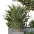 HQ Tree and bush garden box outdoor VOL 28 - Thumbnail 3