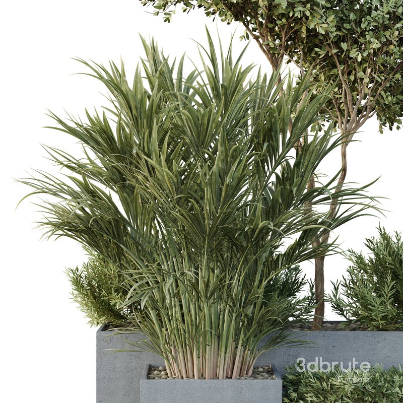 HQ Tree and bush garden box outdoor VOL 28 Image 3