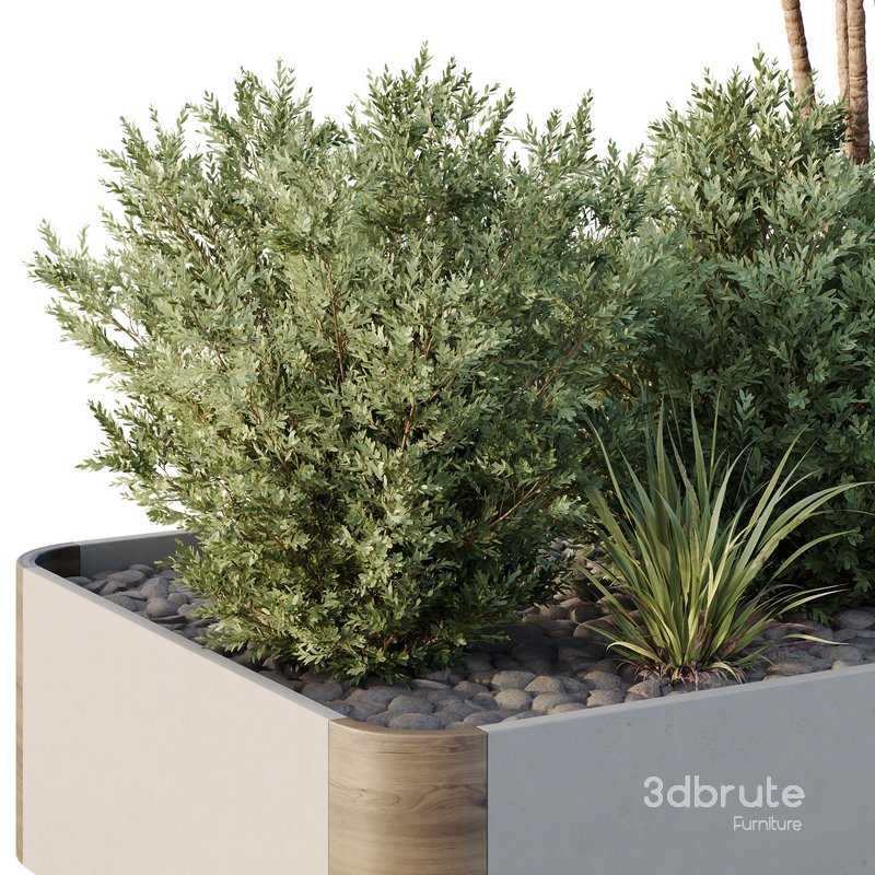 HQ Tree and bush garden box outdoor VOL 24 Image 4
