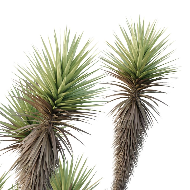 HQ Tree and bush garden box outdoor VOL 23 Image 3