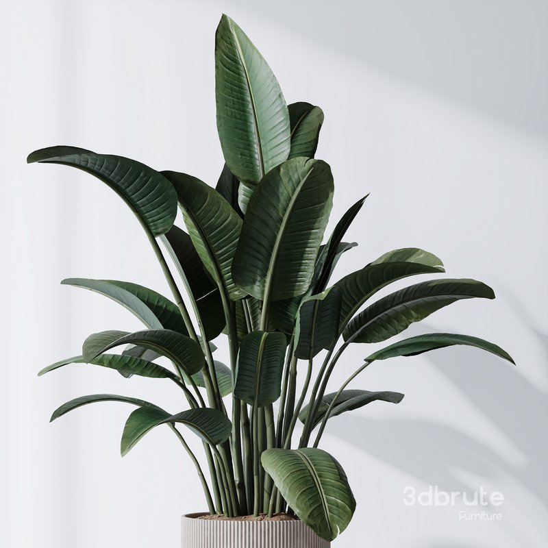 HQ Plants Bird Of ParadiseBird Vase Set01 Image 2