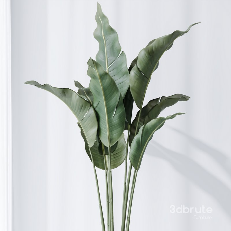 HQ Plants Bird Of ParadiseBird Vase Set03 Image 3