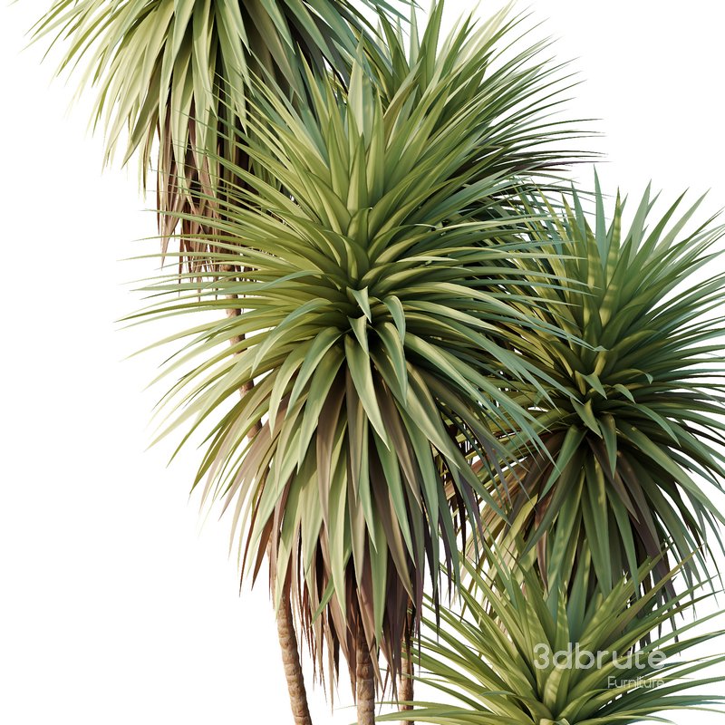 HQ Tree and bush garden box outdoor VOL 24 Image 3