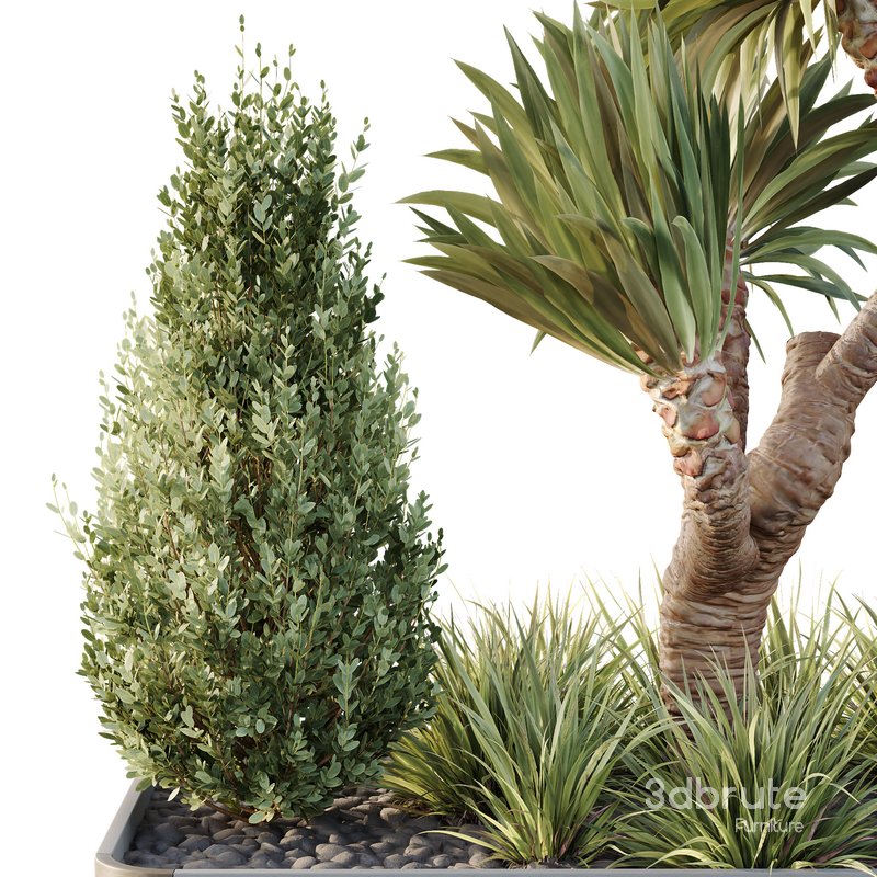 HQ Tree and bush garden box outdoor VOL 25 Image 2