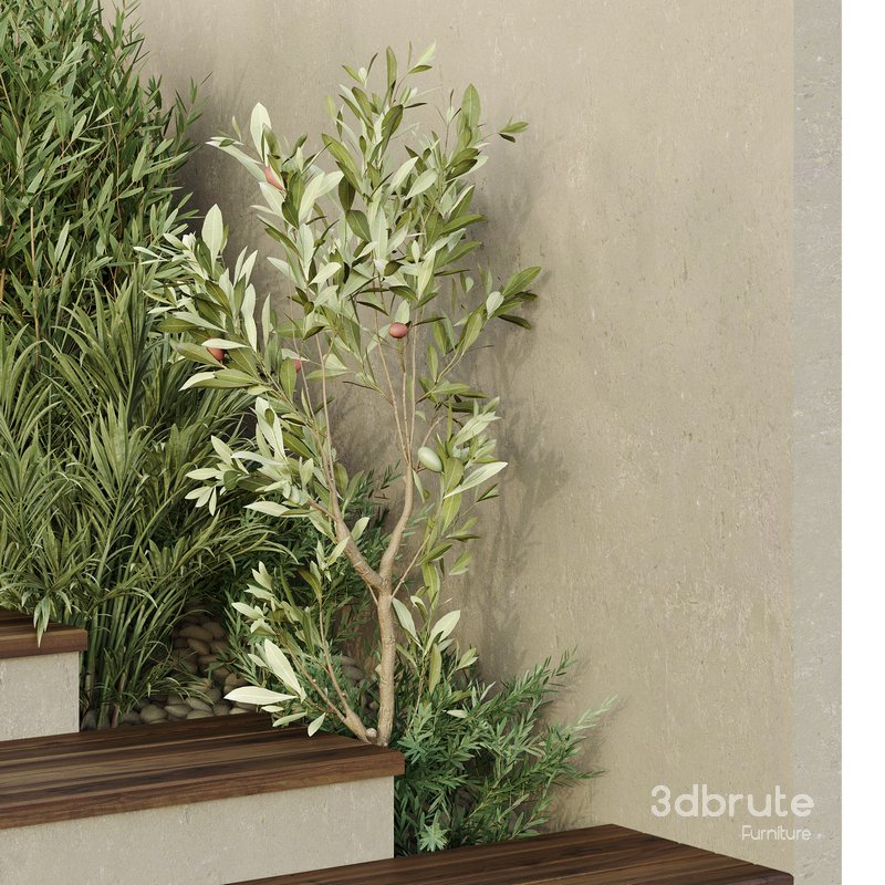 HQ Tree and bush garden box outdoor VOL 31 Image 4