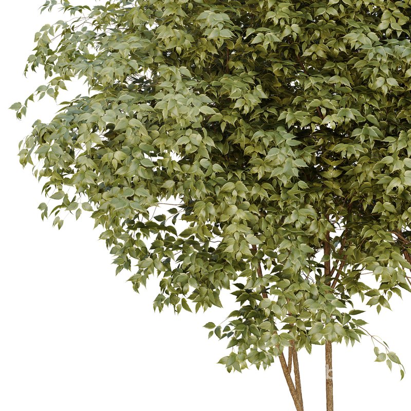 HQ Urban environment set of green plant benches 09 Image 4