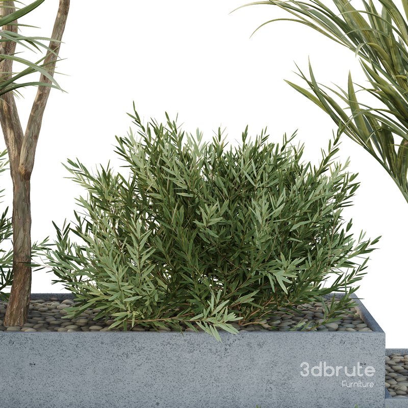 HQ Tree and bush garden box outdoor VOL 28 Image 4
