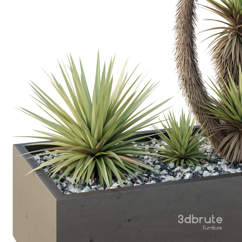 HQ Tree and bush garden box outdoor VOL 23 Image 4