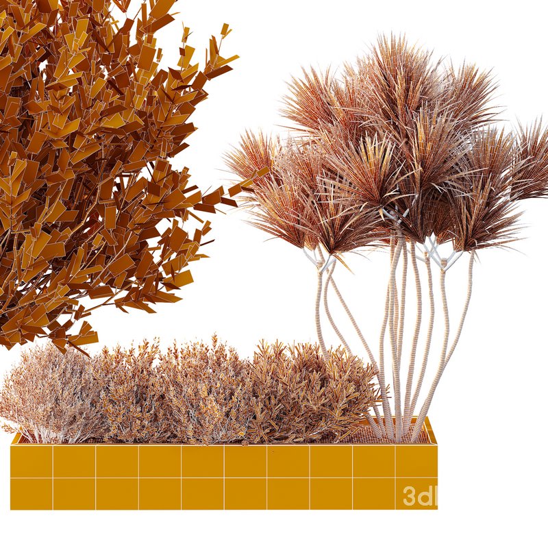 HQ Tree and bush garden box outdoor VOL 22 Image 4