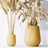 HQ Plants Bird Of ParadiseBird Vase Set04 - Thumbnail 5