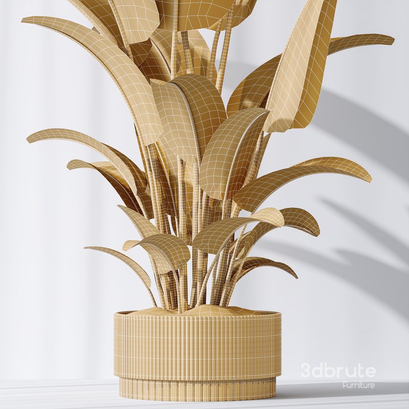 HQ Plants Bird Of ParadiseBird Vase Image 5