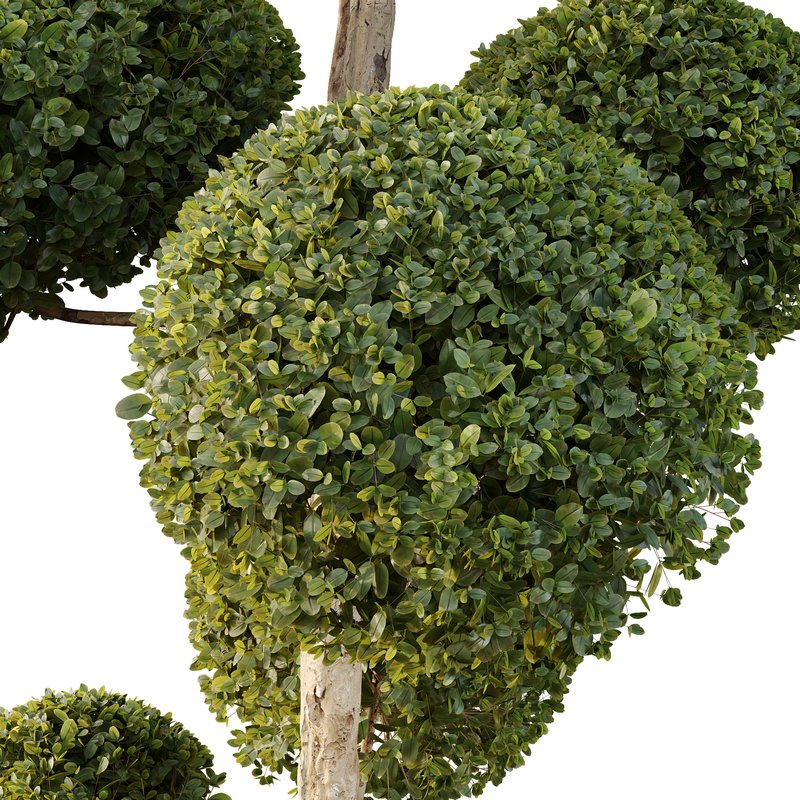 HQ Urban environment set of green plant benches 10 Image 5