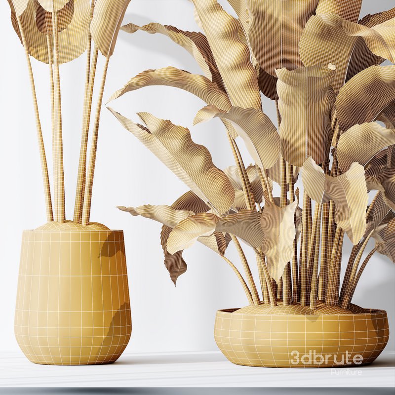 HQ Plants Bird Of ParadiseBird Vase Set03 Image 5