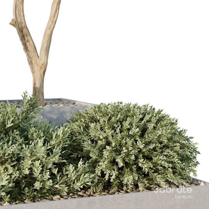 HQ Tree and bush garden box outdoor VOL 26 Image 5