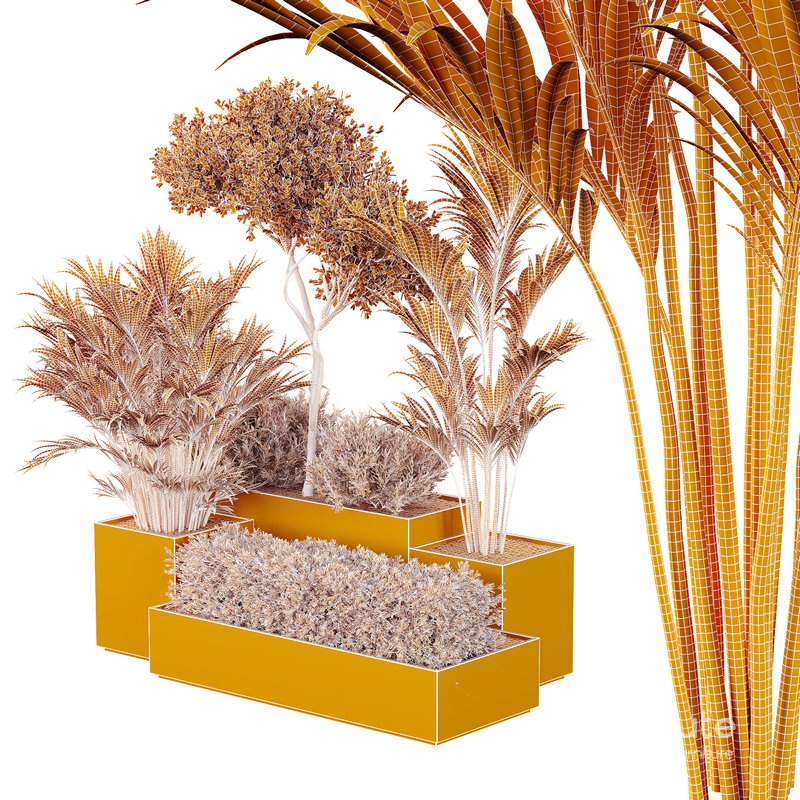 HQ Tree and bush garden box outdoor VOL 28 Image 5