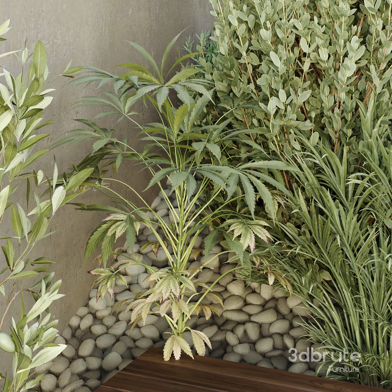 HQ Tree and bush garden box outdoor VOL 31 Image 5