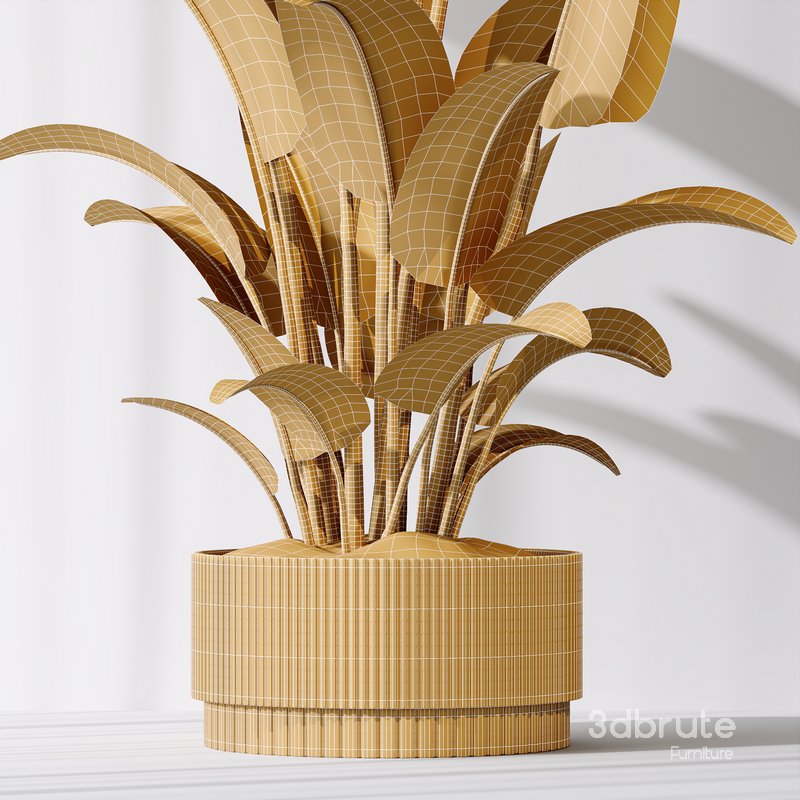 HQ Plants Bird Of ParadiseBird Vase Set01 Image 6