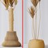 Yucca Elephantipes Gigantea Vase 09 - Thumbnail 6
