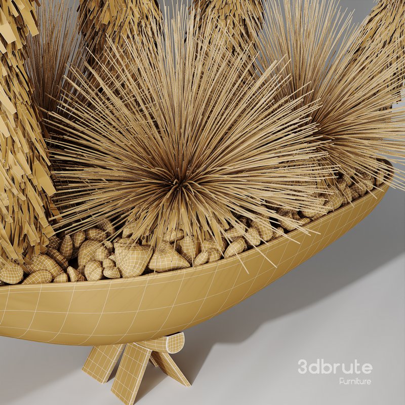 HQ Plants Yucca Elephantipes Queretaroensis Set01 Image 6