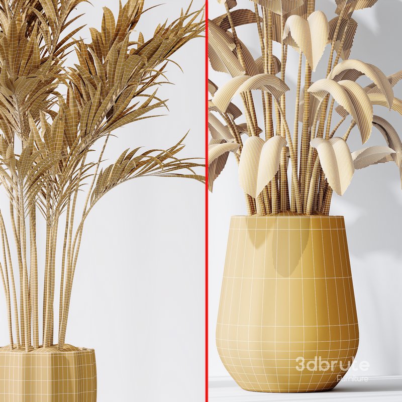 Bird Of ParadiseBird and Areca Majesty Vase 12 Image 7