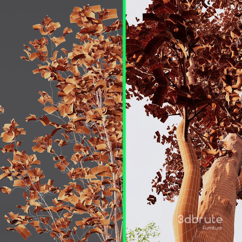 spring trees 03 Image 6