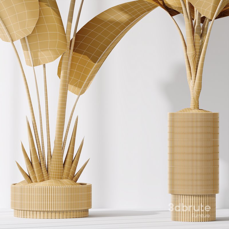 HQ Plants Bird Of ParadiseBird Vase Set02 Image 7