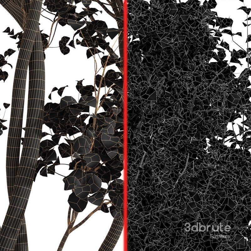 summer-fall trees Image 7