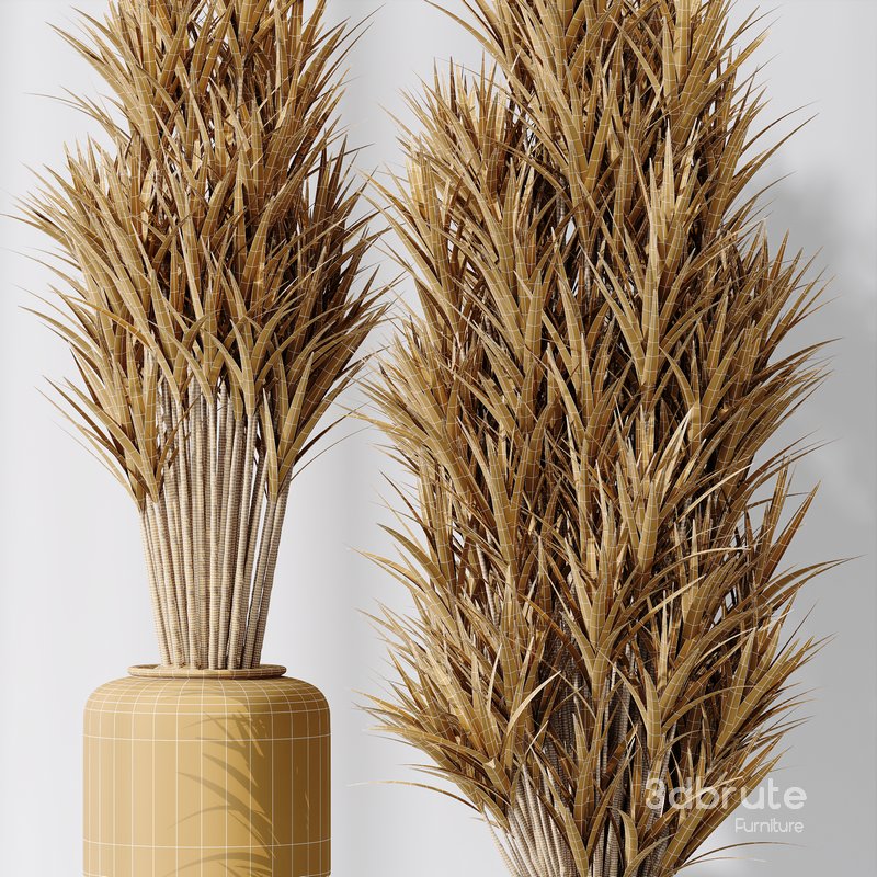 Areca Majesty and Yucca Elephantipes Vase 10 Image 7