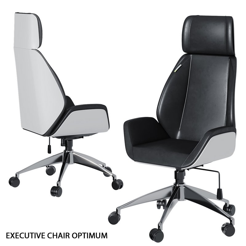 Office Chair-EXECUTIVE CHAIR OPTIMUM 01 Image 1