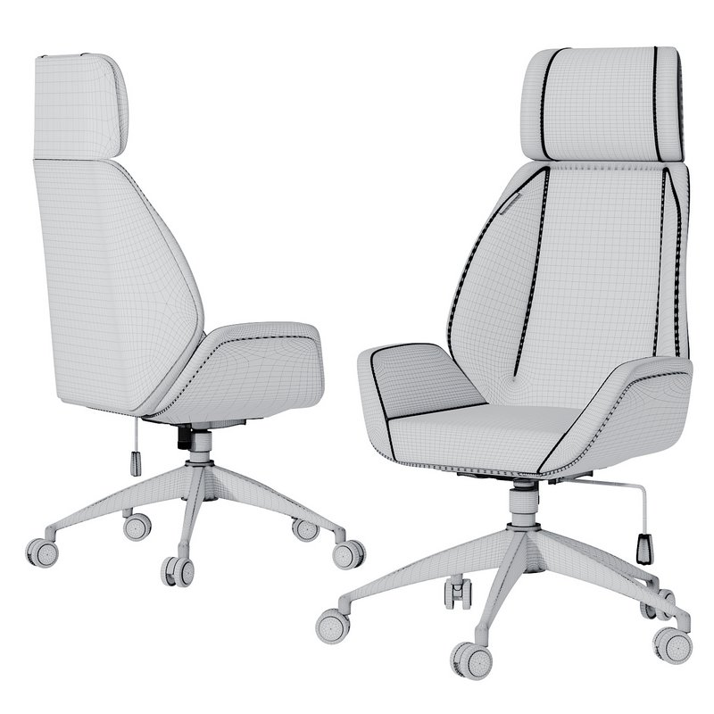 Office Chair-EXECUTIVE CHAIR OPTIMUM 01 Image 4