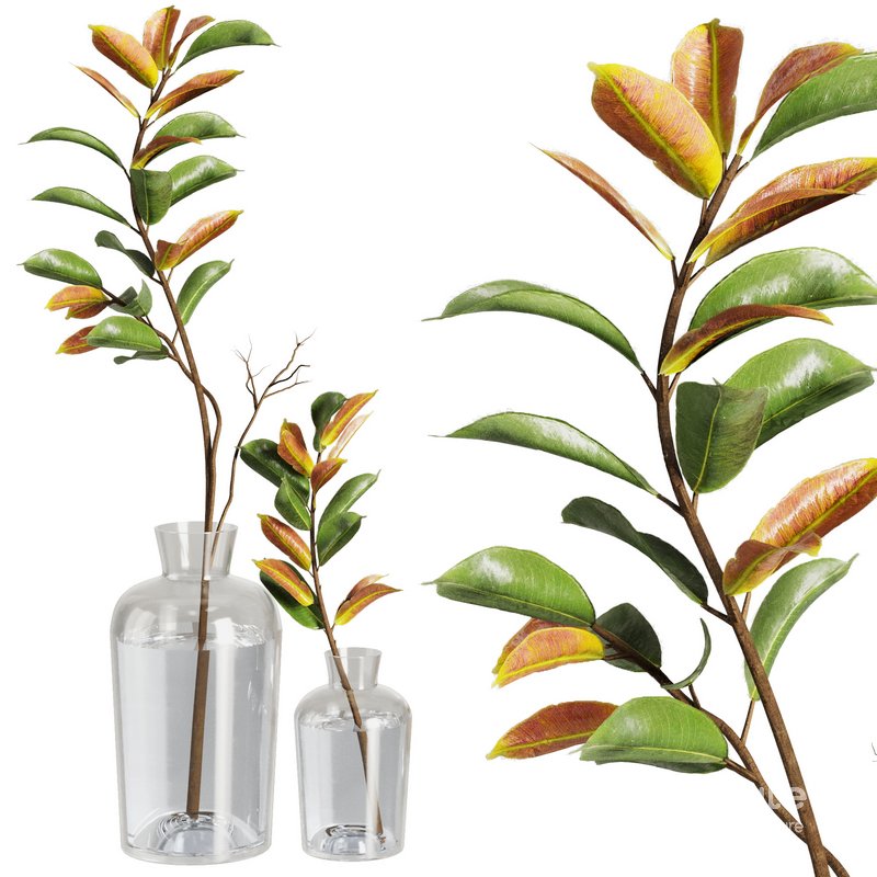 Dry Branches Bouquet20 Image 1