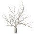 Dry Branches Bouquet18 - Thumbnail 2