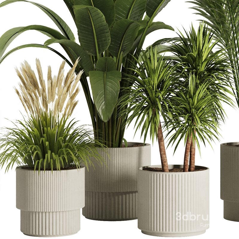 Indoor Plant Set50 Image 2