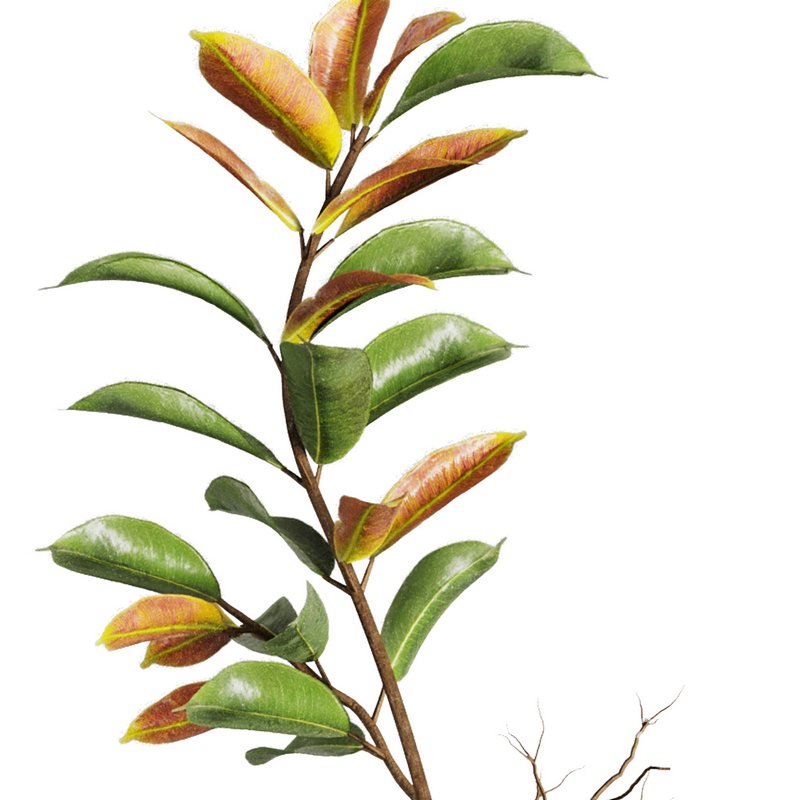 Dry Branches Bouquet20 Image 3