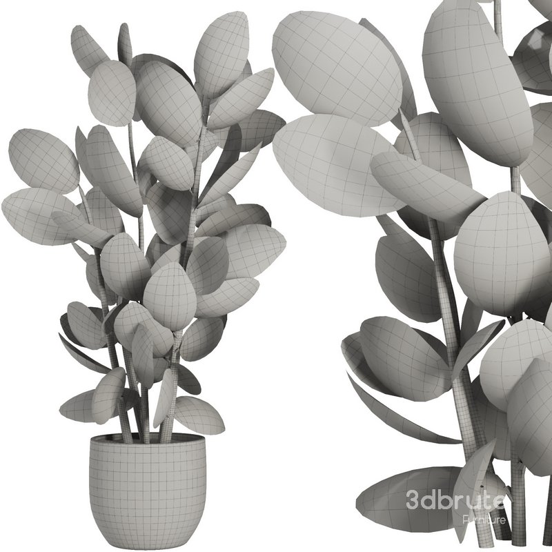 Indoor Plant Set44 Image 3